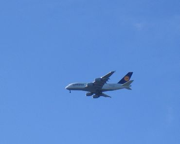 A 380 Lufthansa.jpg
