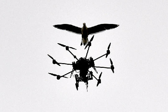 Drohne.png