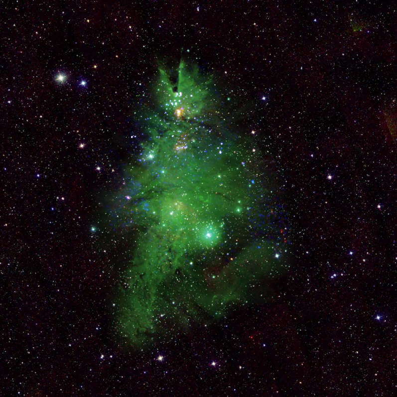 NGC 2264.png