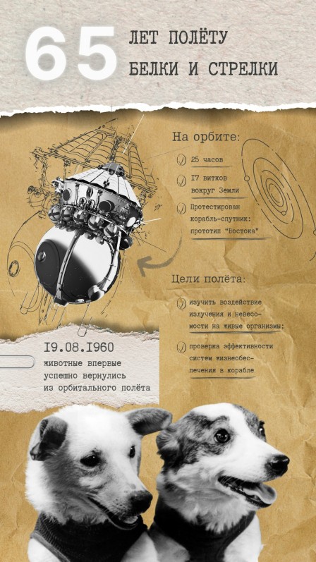 NFw_VLl2WiT0U-wwJfD2d_C0LVDWSNP8YeOriFcG_6OkIl4b6h102x5tzFX85gaHcpuQBviyi7DbFJU57kDRoVDY.jpg