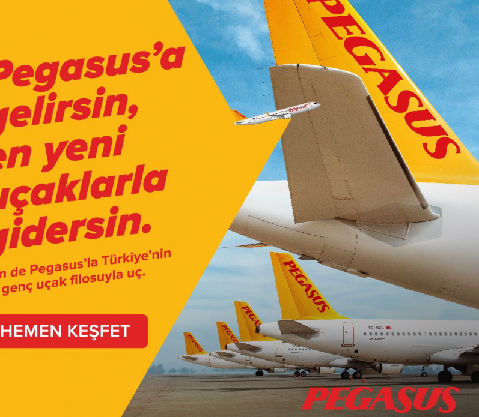 Pegasus.png