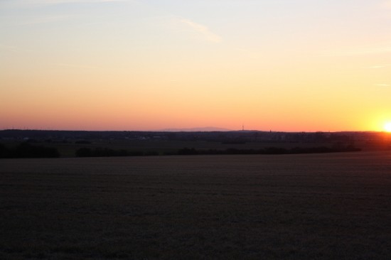 IMG_4033.jpg