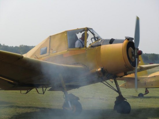 K800_CIMG1217.JPG