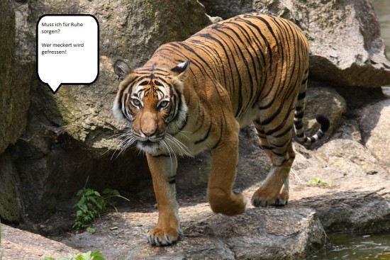 tigertext.jpg