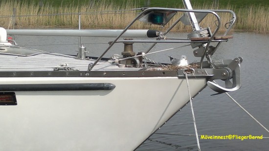 Seefahrt.jpg