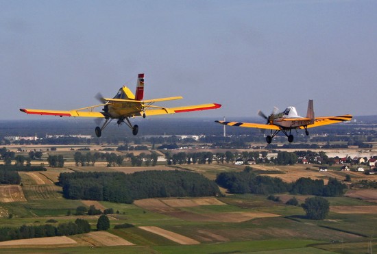 1750.jpg