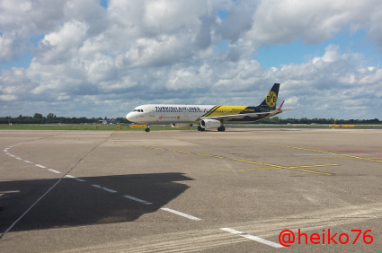 Airbus A321-231 TC-JSJ -Keçiören- (Borussia Dortmund Livery).jpg