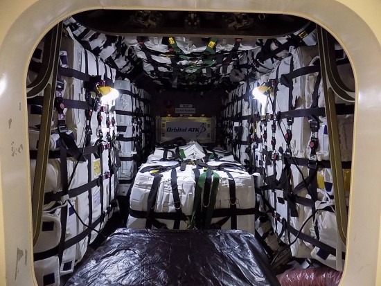 cargo.jpg