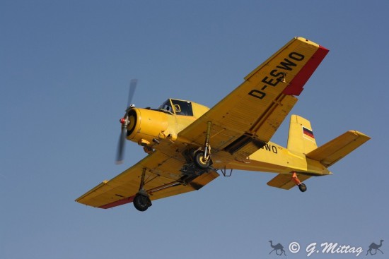 IMG_3725.jpg