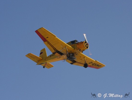 IMG_4230.jpg