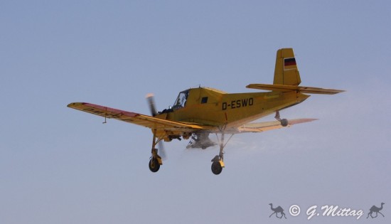 IMG_4251.jpg