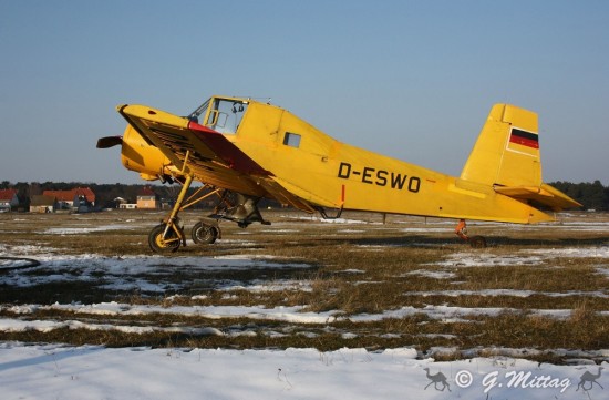 IMG_4603.jpg